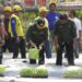 Wabup Dorong Petani Tingkatkan Kapasitas Demi Menjawab Kebutuhan Pasar