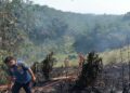 Kebakaran Lahan di Kalapanunggal Berhasil Dipadamkan, Damkar Sukabumi Bergerak Cepat Cegah Api Meluas