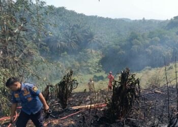 Kebakaran Lahan di Kalapanunggal Berhasil Dipadamkan, Damkar Sukabumi Bergerak Cepat Cegah Api Meluas