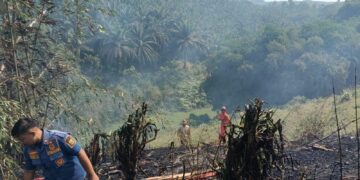Kebakaran Lahan di Kalapanunggal Berhasil Dipadamkan, Damkar Sukabumi Bergerak Cepat Cegah Api Meluas