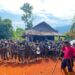 Koalisi Rakyat Sulsel Lawan PSN Tuding Penggusuran Petani Laoli di Luwu Timur Diwarnai Kekerasan Aparat