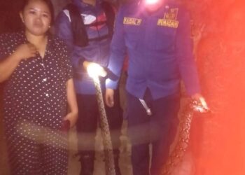 Damkar Kabupaten Sukabumi Evakuasi Ular Sanca di Permukiman Warga Cicantayan