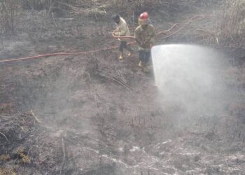 Damkar Kabupaten Sukabumi Tangani Kebakaran Lahan dan Alang-Alang di Ciracap