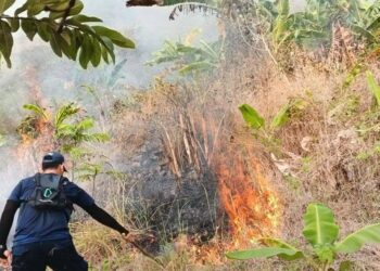 Lahan Terbakar di Kawasan Gunung Jayanti, Petugas Damkarmat Sukabumi Hadapi Medan Sulit
