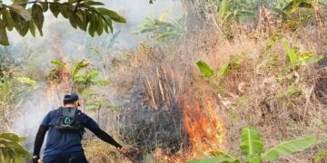 Lahan Terbakar di Kawasan Gunung Jayanti, Petugas Damkarmat Sukabumi Hadapi Medan Sulit