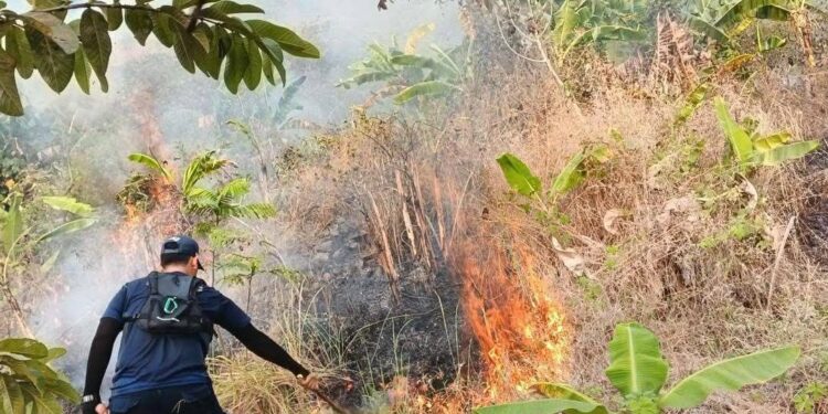 Lahan Terbakar di Kawasan Gunung Jayanti, Petugas Damkarmat Sukabumi Hadapi Medan Sulit