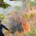 Lahan Terbakar di Kawasan Gunung Jayanti, Petugas Damkarmat Sukabumi Hadapi Medan Sulit