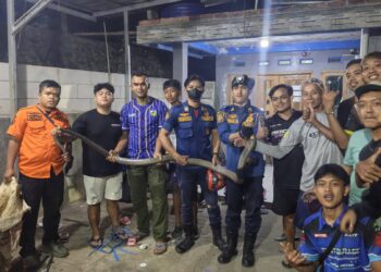 Damkarmat Kabupaten Sukabumi Evakuasi Ular dari Rumah Warga di Pamuruyan
