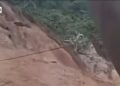 Longsor Tambang Ilegal di Pohuwato: 5 Penambang Tewas
