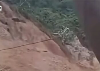 Longsor Tambang Ilegal di Pohuwato: 5 Penambang Tewas