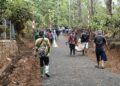Jalan Kini Mulus, Warga Mekarjaya Rasakan Manfaat TMMD ke-130