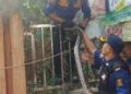 Damkarmat Kabupaten Sukabumi Evakuasi Ular Sanca dari Rumah Warga di Palabuhanratu