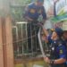 Damkarmat Kabupaten Sukabumi Evakuasi Ular Sanca dari Rumah Warga di Palabuhanratu